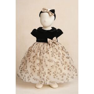 Biscotti Girls Velvet Top Floral Tulle Party Dress with Headband Size 2T